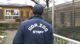 動物園は鳥類の飼育舎の点検を強化「今までない経験で非常に警戒しています」ノスリの死骸から鳥インフルの陽性反応 21日夕方に遺伝子検査の結果判明の見込み|TBS NEWS DIG
