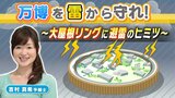 万博会場の『落雷対策』大屋根リングに避雷のヒミツ 避難すべき場所は?大阪の気象予報士が解説【MBSお天気通信】|TBS NEWS DIG