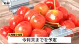 「紅秀峰」を乗せたトラックが東京へ出発 不作の去年から一転、例年並みの出荷量に期待 今年は糖度も高く上質な仕上がりに(山形・寒河江市) | 山形のニュース│TUYテレビユー山形