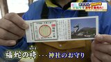 辰年で爆売れ!お守り『福蛇の袴(ふくへびのはかま)』授与数は10倍に パワースポットの無人神社も話題 | 熊本のニュース|RKK NEWS|RKK熊本放送