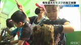 旬を迎えたモズクの加工を子どもたちが体験 うるま市 | 沖縄のニュース|RBC 琉球放送