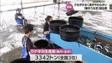 土用丑の日前に 「新仔うなぎ」の今季の出荷始まる 身が柔らかくくせが少ないのが特徴 | MRTニュース | MRT宮崎放送