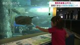 電気料金値上がりも…節電できない水族館 重くのしかかる経費負担 富山・魚津市|TBS NEWS DIG