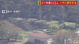 【速報】東京・青梅市の小学校で児童ら22人ハチに刺される 全員意識あり 生活科の授業で落ち葉拾い中に刺されたか|TBS NEWS DIG