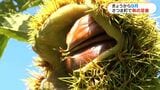 きょうから9月 秋の足音|TBS NEWS DIG