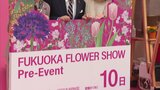 ”花に囲まれ音楽や食事を楽しむ”福岡フラワーショウ 3月23日からプレイベント開催 | 福岡のニュース|RKB NEWS|RKB毎日放送