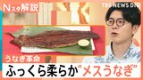 大きい・うまい・皮も柔らかい　おいしさの秘訣は「メス」にあり？　うなぎ「今年は豊漁」価格はどうなる？【Nスタ解説】|TBS NEWS DIG