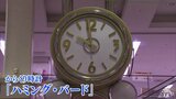 からくり時計「ハミング・バード」８年ぶりに音色響かす　１９８９年の開店から商業施設の名物|TBS NEWS DIG