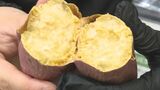 日本全国のサツマイモがずらり！「いもフェス山口」始まる　山口・山陽小野田|TBS NEWS DIG