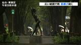 10月下旬並み「各地で20度を下回る」雨で気温が上がらず肌寒い一日に tbc気象台|TBS NEWS DIG