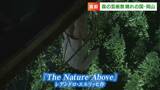 歴史・自然・文化と融合した見たことのないアートの世界を体験して　「森の芸術祭 晴れの国・岡山」28日開幕【岡山】　|　岡山・香川のニュース | 天気 | RSK山陽放送