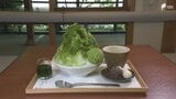 「国内外に向けて、日本茶の文化を発信していけたら」日本茶専門店「きみくら」が伝統工芸体験施設「匠宿」に新店舗オープン インバウンド需要を狙う＝静岡市　|　静岡のニュース | SBSNEWS | 静岡放送