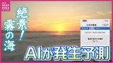 西日本最大級の絶景「霧の海」を “人工知能＝ＡＩ”が発生予測　「観光客が確実に見られるように」と開発者　的中率は90％超　今秋スタート　|　RCC NEWS | 広島ニュース | RCC中国放送