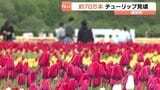 約70万本のチューリップ見ごろ 7haに色とりどり200品種「かみゆうべつチューリップ公園」フェア月末まで開催 北海道湧別町 | 北海道のニュース|HBC北海道放送