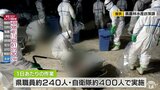三沢市・137万羽の鳥インフル 防護服の追加購入や埋却委託費で15億円を専決処分|TBS NEWS DIG