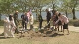 ワシントンで日本寄贈「友情のシンボル」桜の植樹式　アメリカの建国250年祝い|TBS NEWS DIG