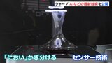 ワインの銘柄も“におい”で判定 AI事業の強化急ぐシャープ AI活用のセンサー技術を公開|TBS NEWS DIG