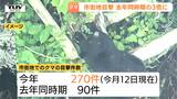 去年の3倍に…市街地でのクマの目撃が今年270件に　7月だけでも40件　きょうも鶴岡市の中学校近くに出没（山形）　|　山形のニュース│TUYテレビユー山形