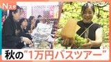 ほぼ1万円!女性の参加率が高い秋の日帰りバスツアーを調査 絶品松茸料理・シャインマスカット食べ放題も【それスタ】|TBS NEWS DIG