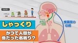 “しゃっくり” は人間がかつて魚だった名残り?「横隔膜のけいれん」は間違いだった 見過ごせない重い病気のサインにも |TBS NEWS DIG