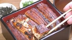 ウナギ資源はすでに危機的水準　EUによる規制提案で問われるウナギ資源の持続可能性| TBS CROSS DIG with Bloomberg