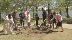 ワシントンで日本寄贈「友情のシンボル」桜の植樹式　アメリカの建国250年祝い| TBS CROSS DIG with Bloomberg