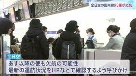 ANA国内線95便が欠航 1万3200人に影響 「エアバス」の機体システムに不具合 あす以降も欠航の可能性|TBS NEWS DIG