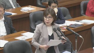 再審制度見直す刑事訴訟法改正案が衆・法務委で審議入り　法務省、開示証拠に基づく実験“目的外使用にあたらない”| TBS CROSS DIG with Bloomberg