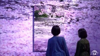 写真家　川上緑桜　パネル作品 ものすごい衝撃を受けたサクラが弘前の桜」新作含む蜷川実花さんの個展