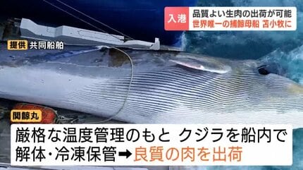 鯨を釣り上げた 世界唯一の