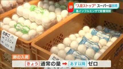 たまご （発送を4〜7日後になります。） 1ヶ月ごと定期便】やまもりたまご30個 | 山もりたまご
