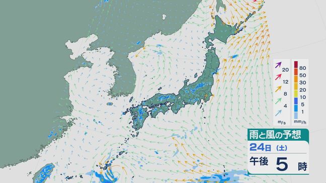 土日は関東で“わき立つ”積乱雲で雷雨が激しいところも 大雨による土砂災害などに警戒・注意を 雨と風シミュレーション|TBS NEWS DIG