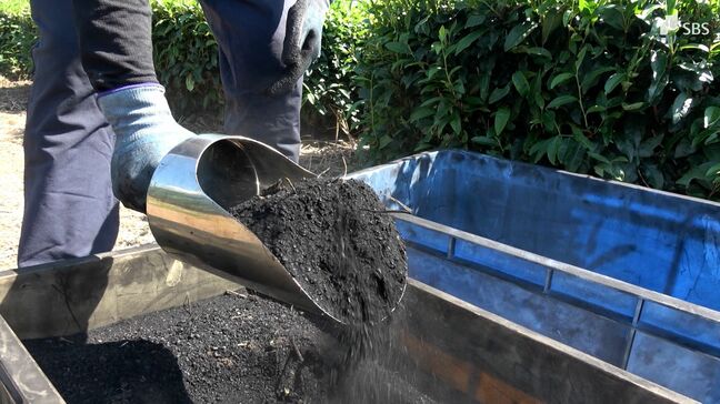「バイオ炭」を大型機械使い茶畑に散布実験 地球温暖化対策や茶樹への影響など調べる＝静岡・菊川市|TBS NEWS DIG