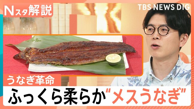 大きい・うまい・皮も柔らかい おいしさの秘訣は「メス」にあり? うなぎ「今年は豊漁」価格はどうなる?【Nスタ解説】|TBS NEWS DIG