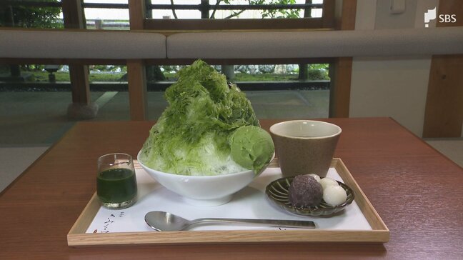 「国内外に向けて、日本茶の文化を発信していけたら」日本茶専門店「きみくら」が伝統工芸体験施設「匠宿」に新店舗オープン インバウンド需要を狙う=静岡市|TBS NEWS DIG