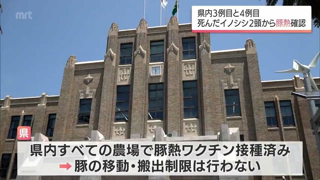 高原町で野生イノシシ2頭の「豚熱」感染を確認|TBS NEWS DIG