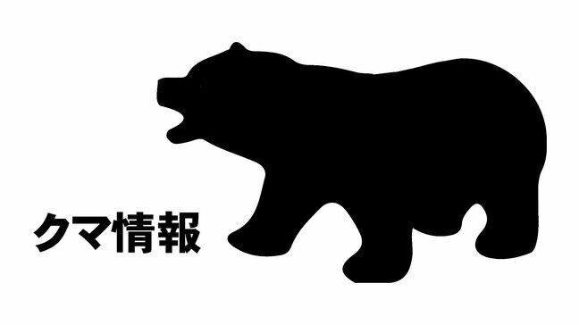 石川・白山市釜清水町でクマ1頭目撃 けが人の情報なし 市が注意呼びかけ|TBS NEWS DIG