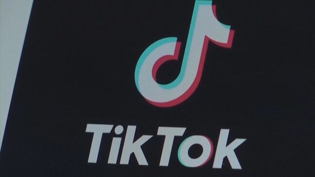 TikTokのアメリカ事業運営の合弁会社設立を発表、IT大手オラクルがデータを管理・監督|TBS NEWS DIG