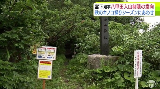 秋のキノコ採りシーズンに向けて　青森県 宮下宗一郎 知事がクマ対策として8月末にも再び八甲田山系への入山を制限するような措置を取る考え示す「国・市・警察と連携して」|TBS NEWS DIG
