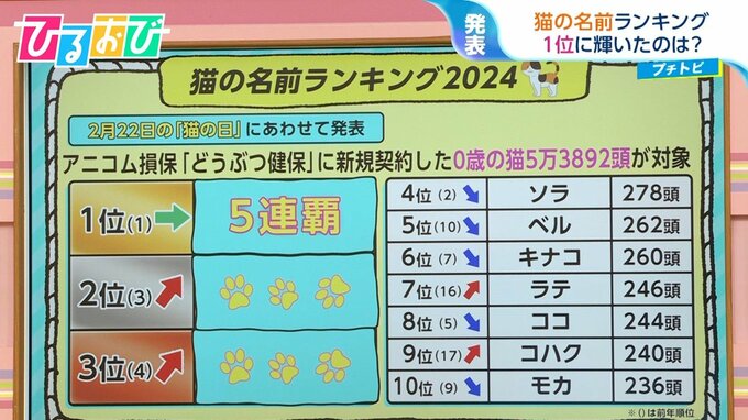 ネコの名前ランキング　5年連続1位に輝いたのは？【ひるおび】|TBS NEWS DIG