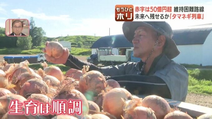 畑で育ったタマネギを手にする中崎さん