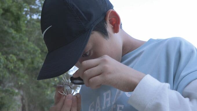 “11歳　真夏の自由研究” 「カニ」の研究を続ける小学５年生の挑戦　南方系のカニを探しに砂浜へ！ 広島　|　RCC NEWS | 広島ニュース | RCC中国放送