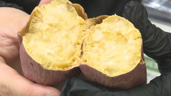 日本全国のサツマイモがずらり！「いもフェス山口」始まる　山口・山陽小野田　|　山口のニュース・天気・防災｜tys NEWS｜ｔｙｓテレビ山口