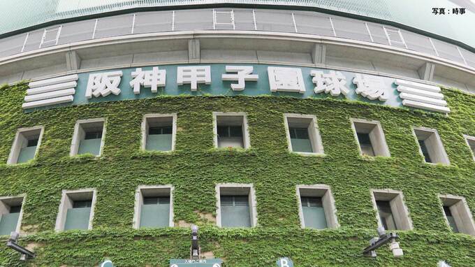 【センバツ】連覇狙う健大高崎、横浜ら全32校決定！大阪勢は98年ぶり“出場なし” 21世紀枠は横浜清陵、壱岐【一覧】|TBS NEWS DIG