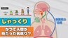 “しゃっくり” は人間がかつて魚だった名残り？「横隔膜のけいれん」は間違いだった　見過ごせない重い病気のサインにも 　|　富山のニュース｜天気・防災｜チューリップテレビ