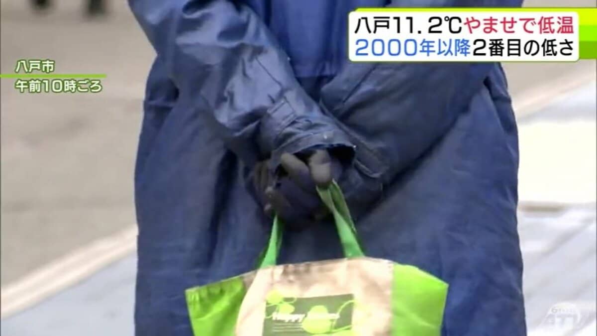 【大特価｜送料込】★現品のみ★ 青森県八戸市①③_在庫1点のみ 6月としては2000年以降で2番目の低温に… 5日の八戸市の最高気温が11.2