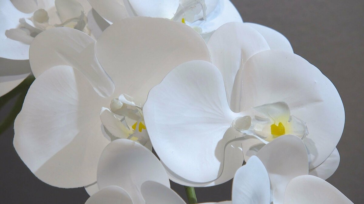 生花と見間違えるクオリティ！ 進化した造花「アーティフィシャル