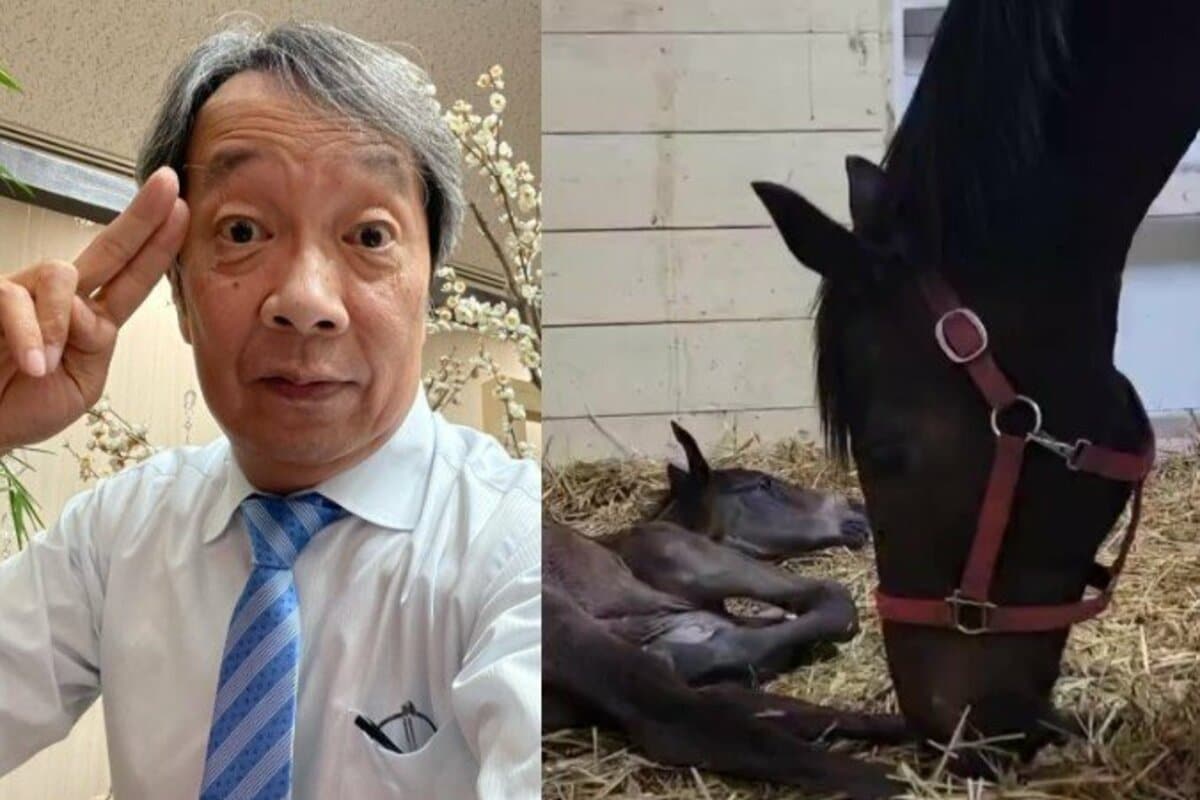欽ちゃんのこれが1番‼️　出演記念盾 見栄晴 】萩本欽一さん所有の繁殖牝馬の出産を報告「欽ちゃんをG1の