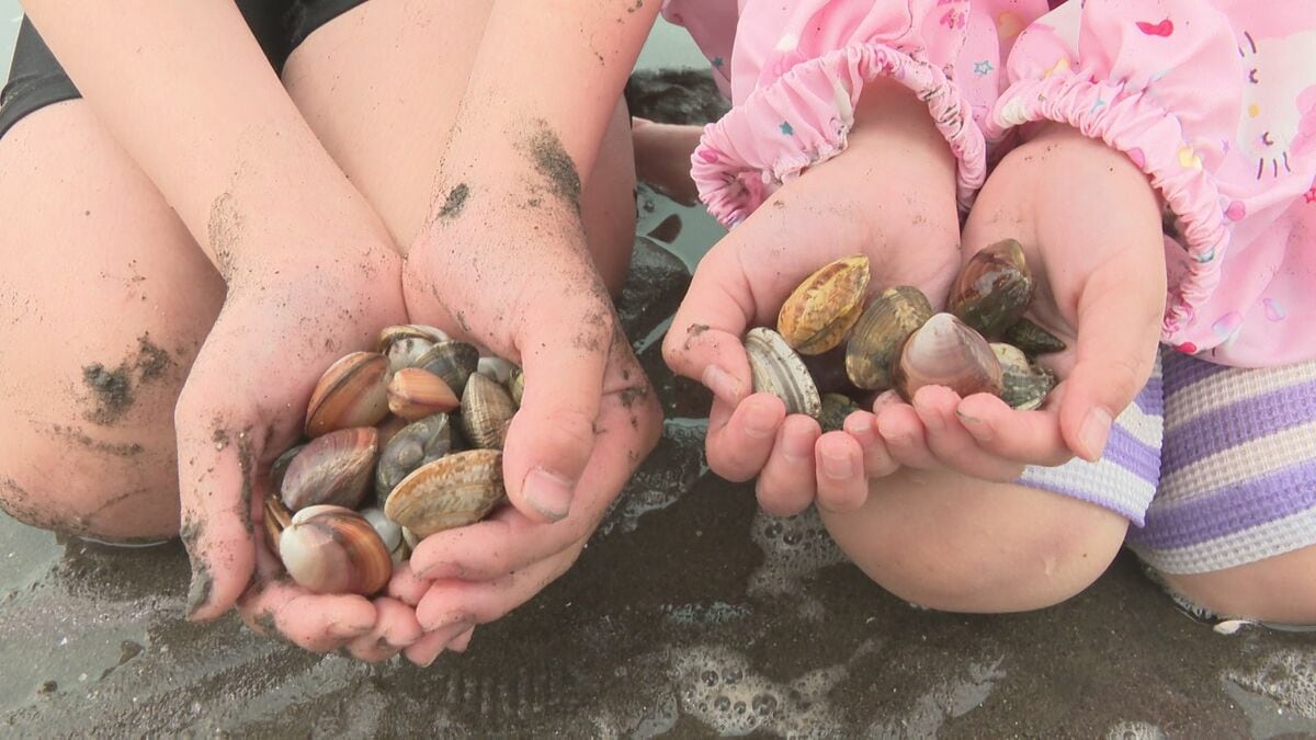 観光潮干狩り最盛期　アサリやマテ貝掘りに挑戦　大分・宇佐市