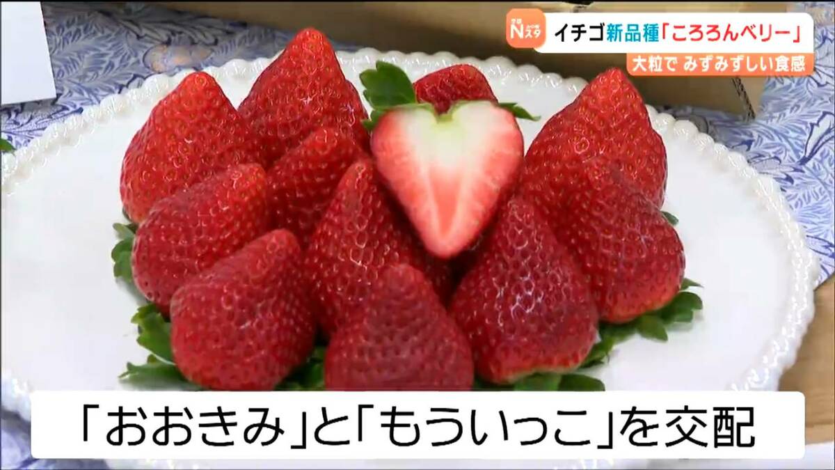 断面がハートになるイチゴ新品種「ころろんベリー」誕生 他県との競争
